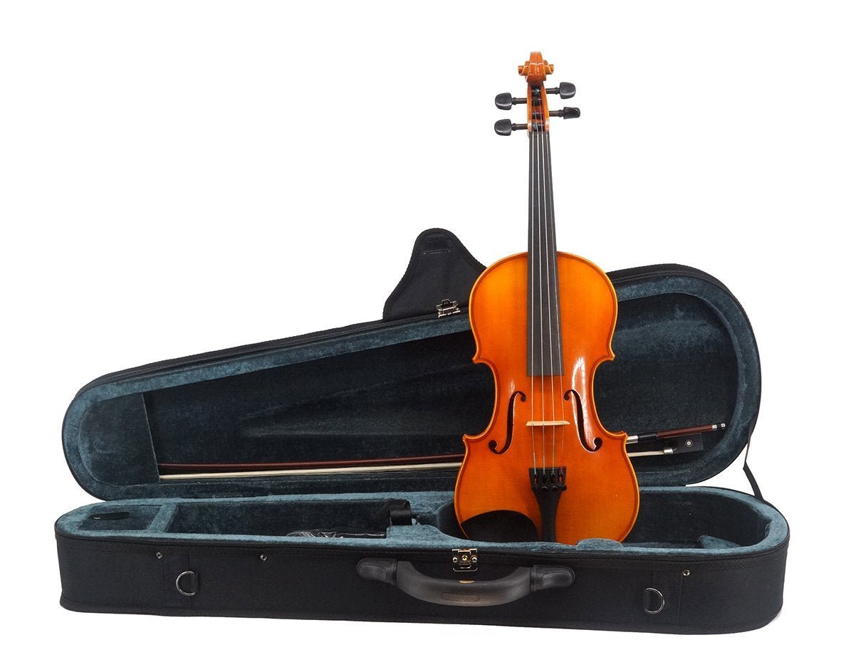 La Vista Model 100 Violin Outfit - Remenyi House of Music