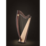 Lyon & Healy Ogden Harp - Remenyi House of Music