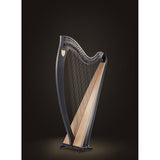 Lyon & Healy Ogden Harp - Remenyi House of Music