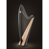 Lyon & Healy Troubadour VI Harp - Remenyi House of Music