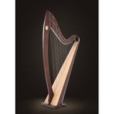 Lyon & Healy Troubadour VI Harp - Remenyi House of Music