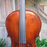 Michael Gerlach 1/2 size Cello - Remenyi House of Music