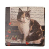 Coaster - Kitten On Piano