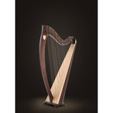 Lyon & Healy Ogden Harp