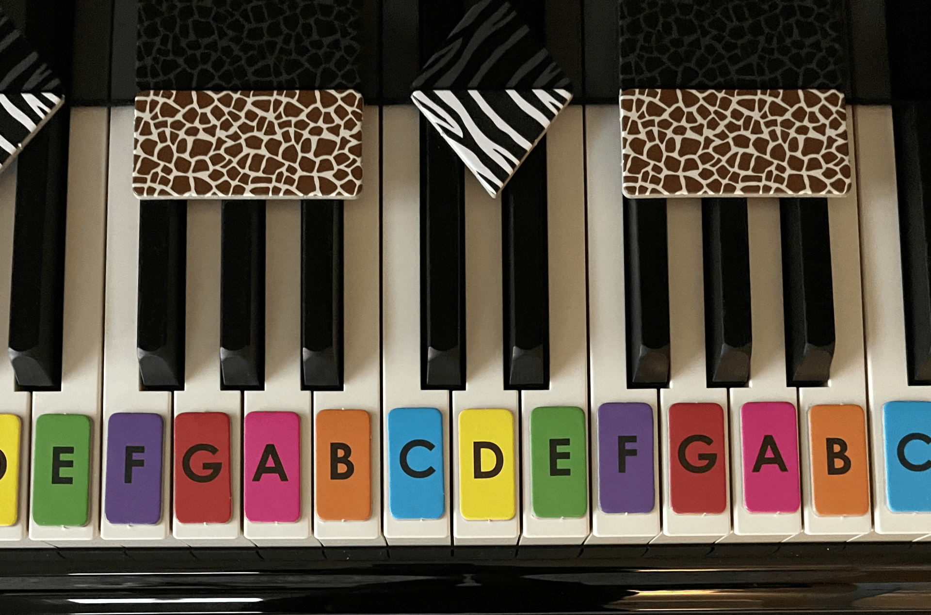Piano Safari Piano Decorating Kit - Remenyi House of Music