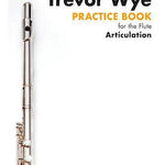 Practice Book 3 for the Flute: Articulation - Remenyi House of Music