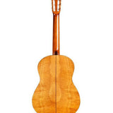 Cordoba C5 Limited Nylon String Guitar - Flamed Mahogany