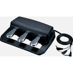 Roland RPU - 3 3 Portable Pedal Unit - Remenyi House of Music