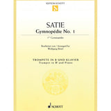 Satie, E. - Gymnopédie No. 1 - Remenyi House of Music