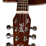 Seagull Entourage Autumn Burst CW QIT RH Electric Acoustic Guitar - Remenyi House of Music