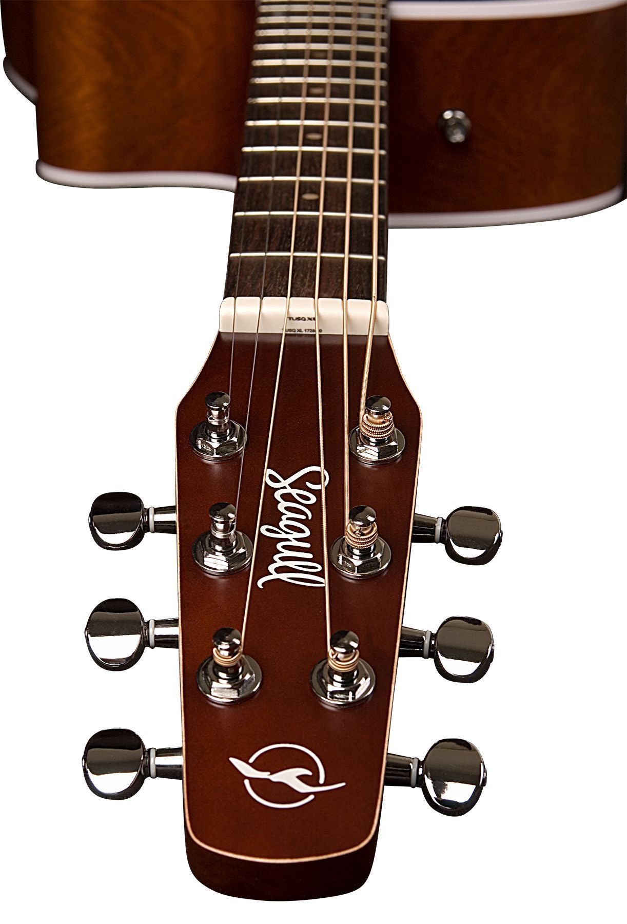 Seagull Entourage Autumn Burst CW QIT RH Electric Acoustic Guitar - Remenyi House of Music