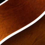 Seagull Guitars Entourage Autumn Burst Acoustic Guitar - Remenyi House of Music