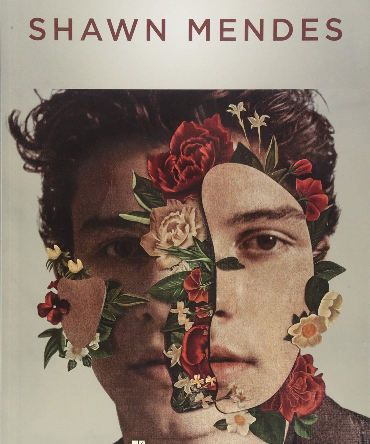 Shawn Mendes (Piano/Vocal/Guitar Artist Songbook) - Remenyi House of Music