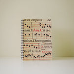 St. Cecilia Notebook (A5 Size) - Remenyi House of Music