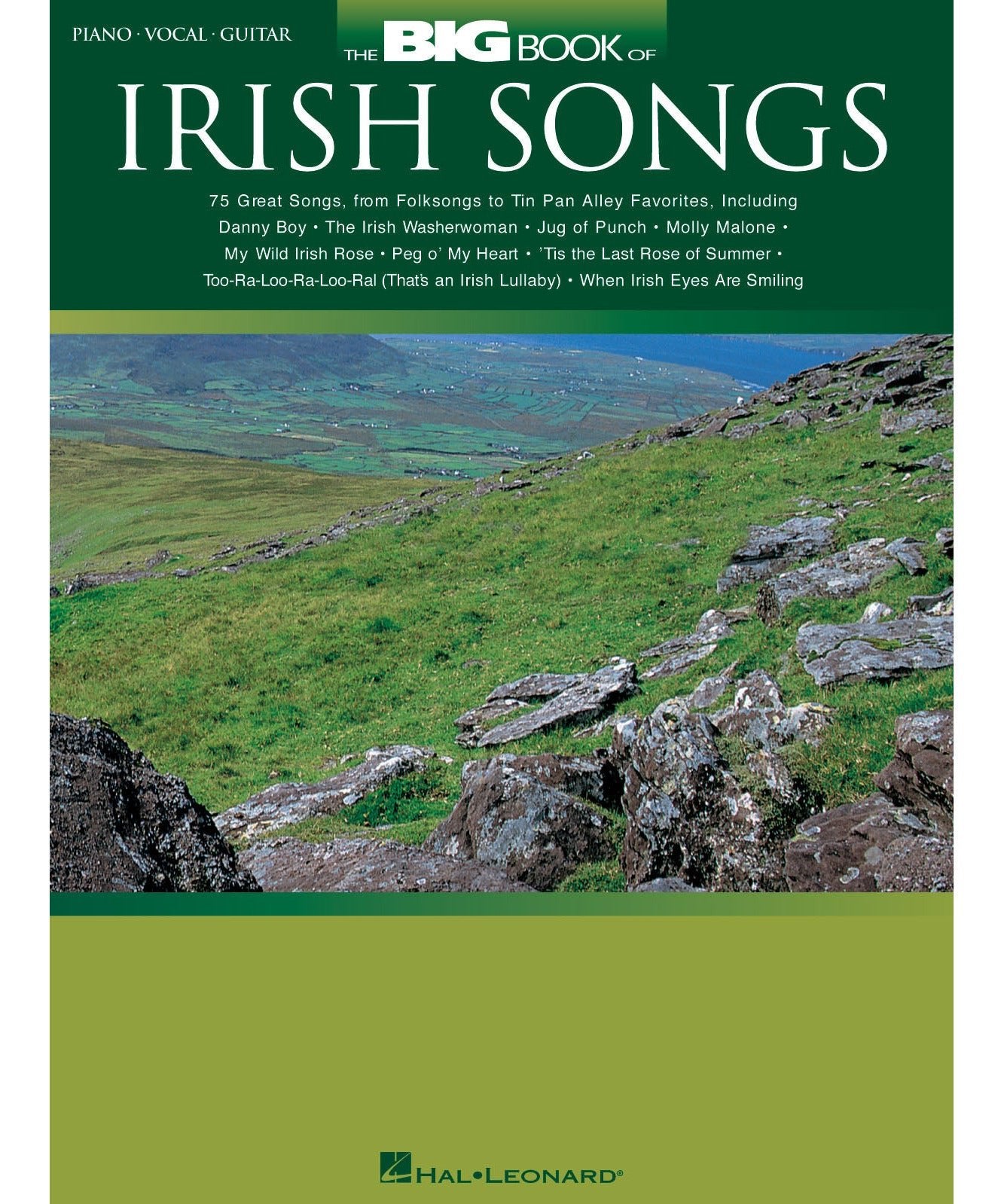 The Big Book of Irish Songs - Remenyi House of Music