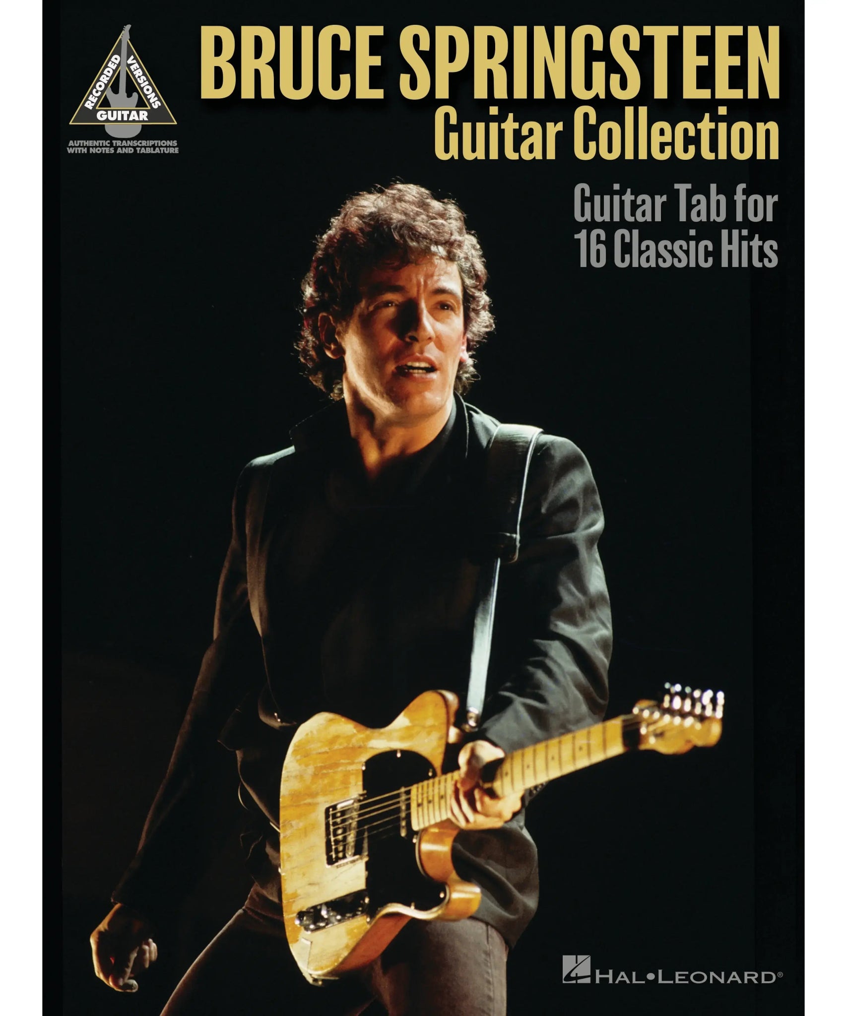 The Bruce Springsteen Guitar Collection - Remenyi House of Music