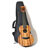 Twisted Wood Koa EA Tenor Ukulele - Remenyi House of Music