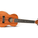 Twisted Wood Original Ukulele - Concert, Baritone, Tenor - Remenyi House of Music