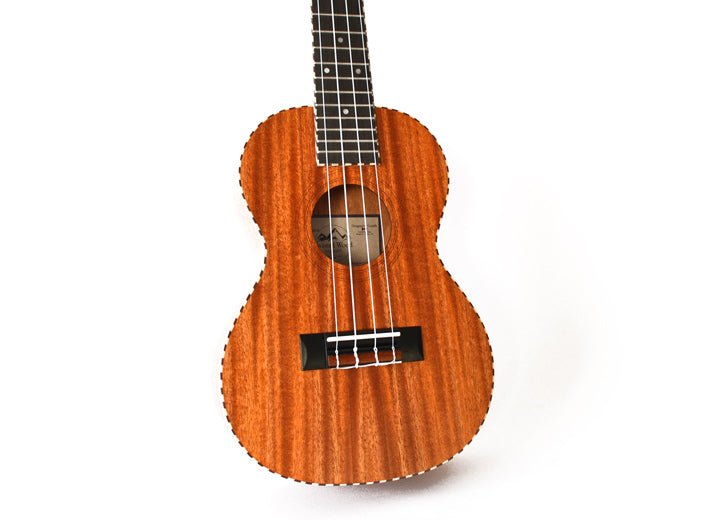 Twisted Wood Original Ukulele - Concert, Baritone, Tenor - Remenyi House of Music