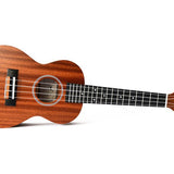 Twisted Wood Pioneer Concert Series Ukulele - Remenyi House of Music