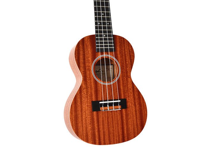 Twisted Wood Pioneer Concert Series Ukulele - Remenyi House of Music