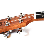 Twisted Wood Pioneer Concert Series Ukulele - Remenyi House of Music