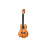 Twisted Wood – Rock Roots RR - 200C – Concert Ukulele - Remenyi House of Music