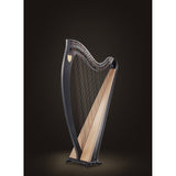 Lyon & Healy Ogden Harp