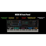 Yamaha MODX M8 88 Key Piano Weighted Synthesizer - Remenyi House of Music