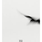 Yann Tiersen - Rathlin from a Distance - Remenyi House of Music