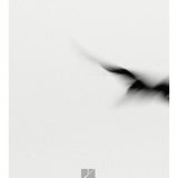 Yann Tiersen - Rathlin from a Distance - Remenyi House of Music