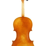 Karl Höfner H215 4/4 full size Violin back